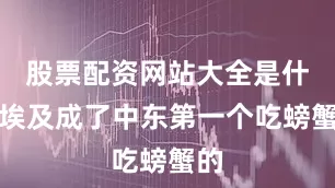 股票配资网站大全是什么埃及成了中东第一个吃螃蟹的