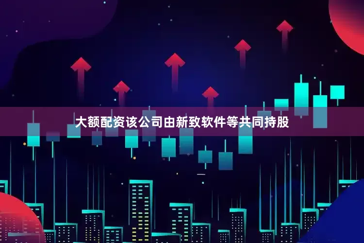 大额配资该公司由新致软件等共同持股